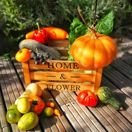 La Maison Ziazen Country house