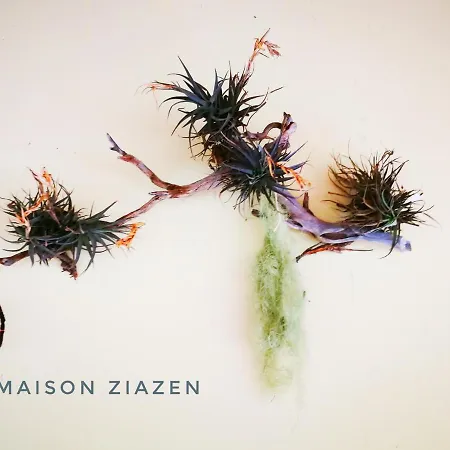 La Maison Ziazen Country house *