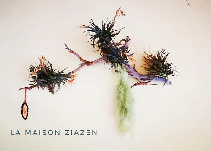 La Maison Ziazen Landhuis *