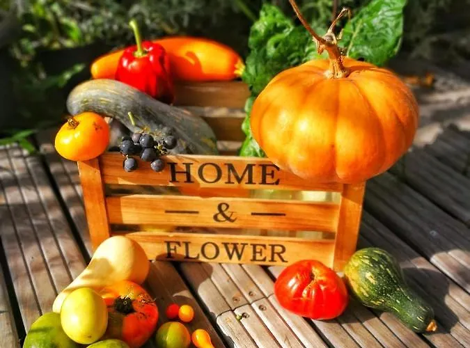 La Maison Ziazen Séjour à la campagne